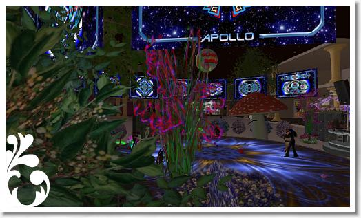 Wedding_Star_002_018