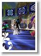 Wedding_Star_001_008