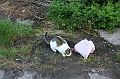 IMG_1774
