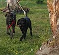 IMG_1779