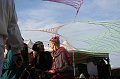 Multasm_0231